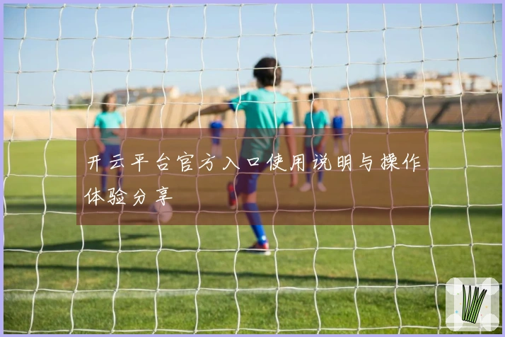 开云平台官方入口使用说明与操作体验分享