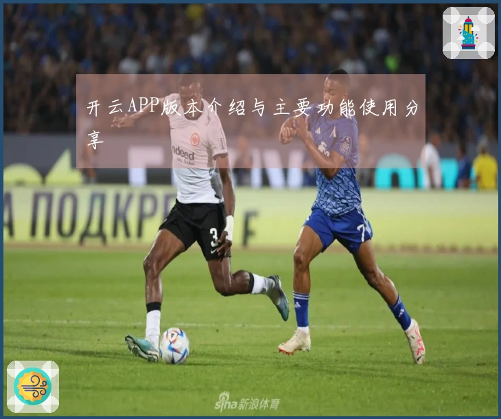 开云APP版本介绍与主要功能使用分享